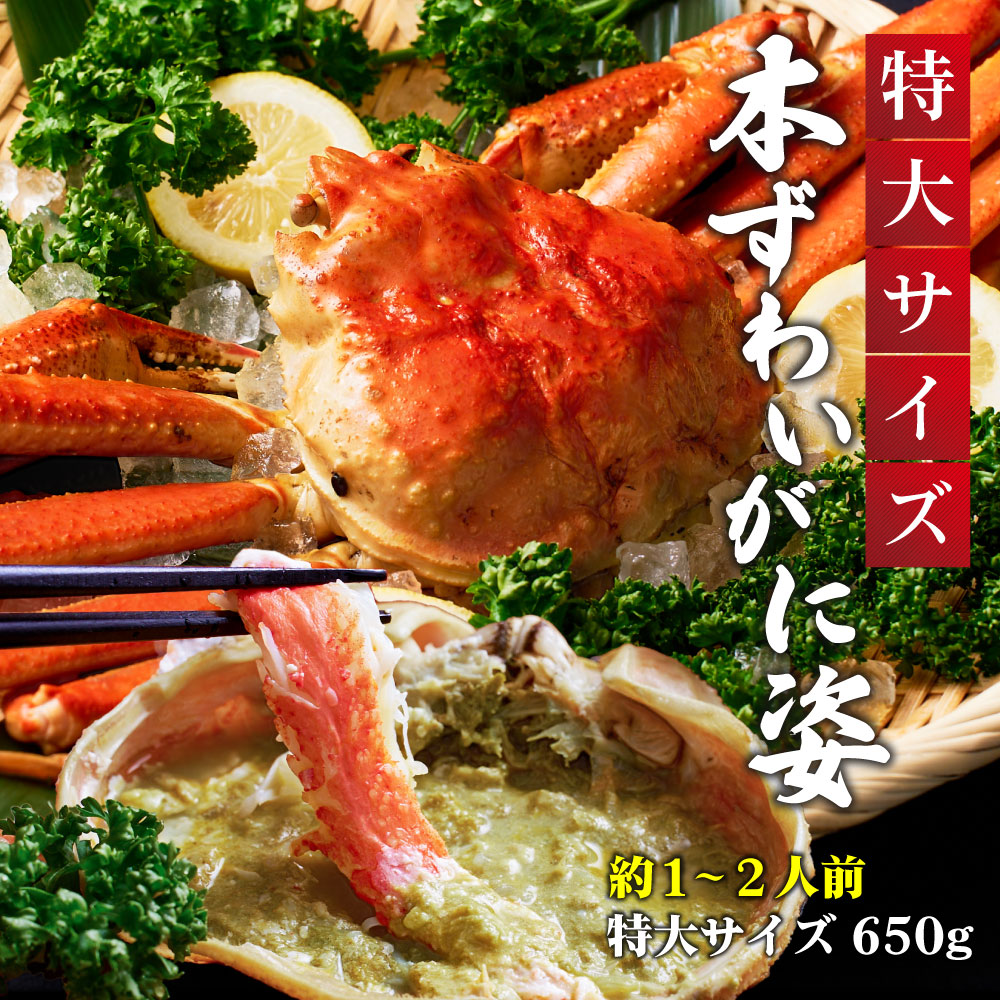 本ズワイガニ 姿 650g 1尾 特大 ズワイ蟹 ずわいがに ずわい蟹 カニ かに 海鮮 ギフト 札幌中央卸売市場 グルメ お取り寄せ お年賀 御年賀 バレンタイン【送料込】【冷凍便】
