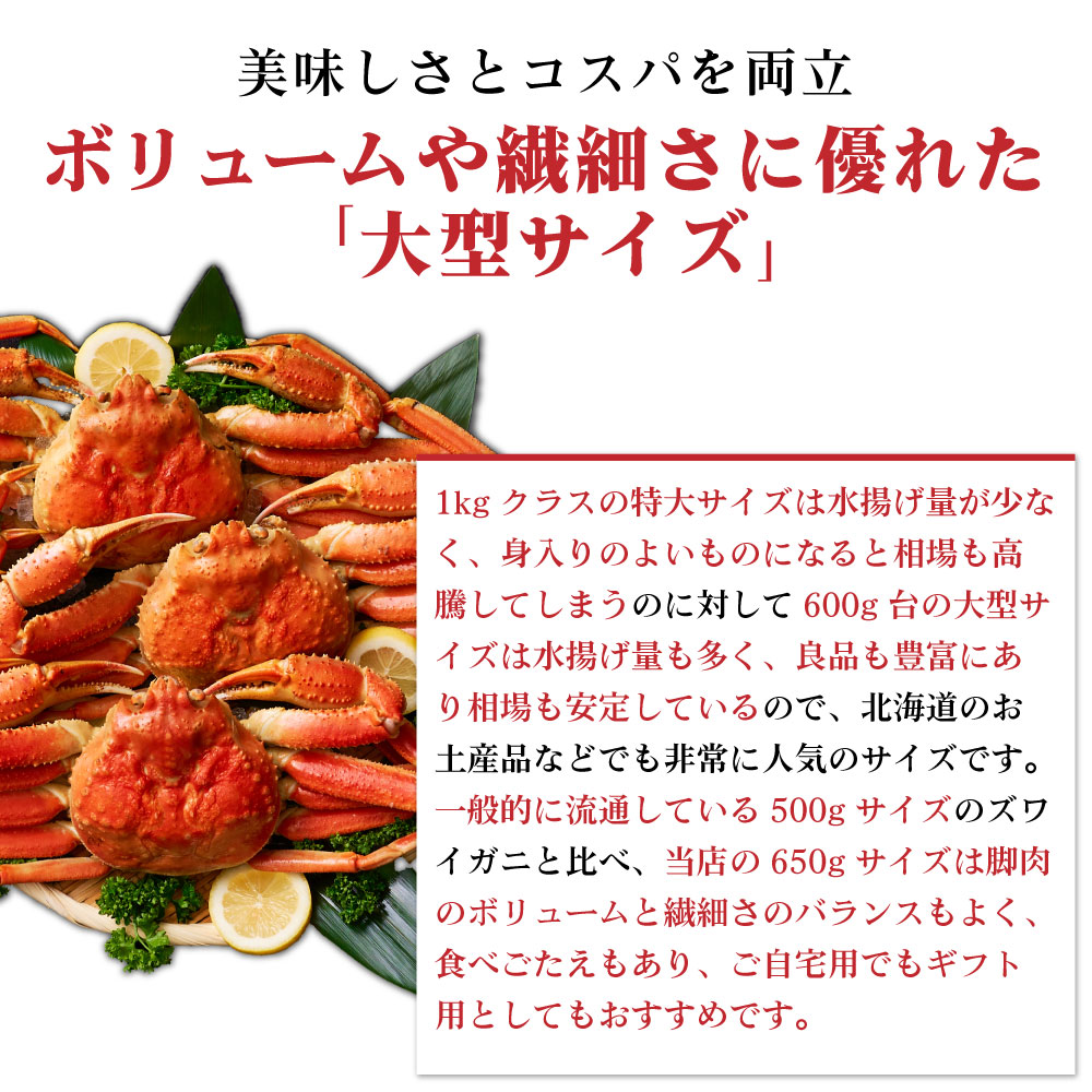 本ズワイガニ 姿 650g 2尾セット 特大 ズワイ蟹 ずわいがに ずわい蟹 カニ かに 海鮮 ギフト 札幌中央卸売市場 グルメ お取り寄せ お年賀 御年賀 バレンタイン【送料込】【冷凍便】