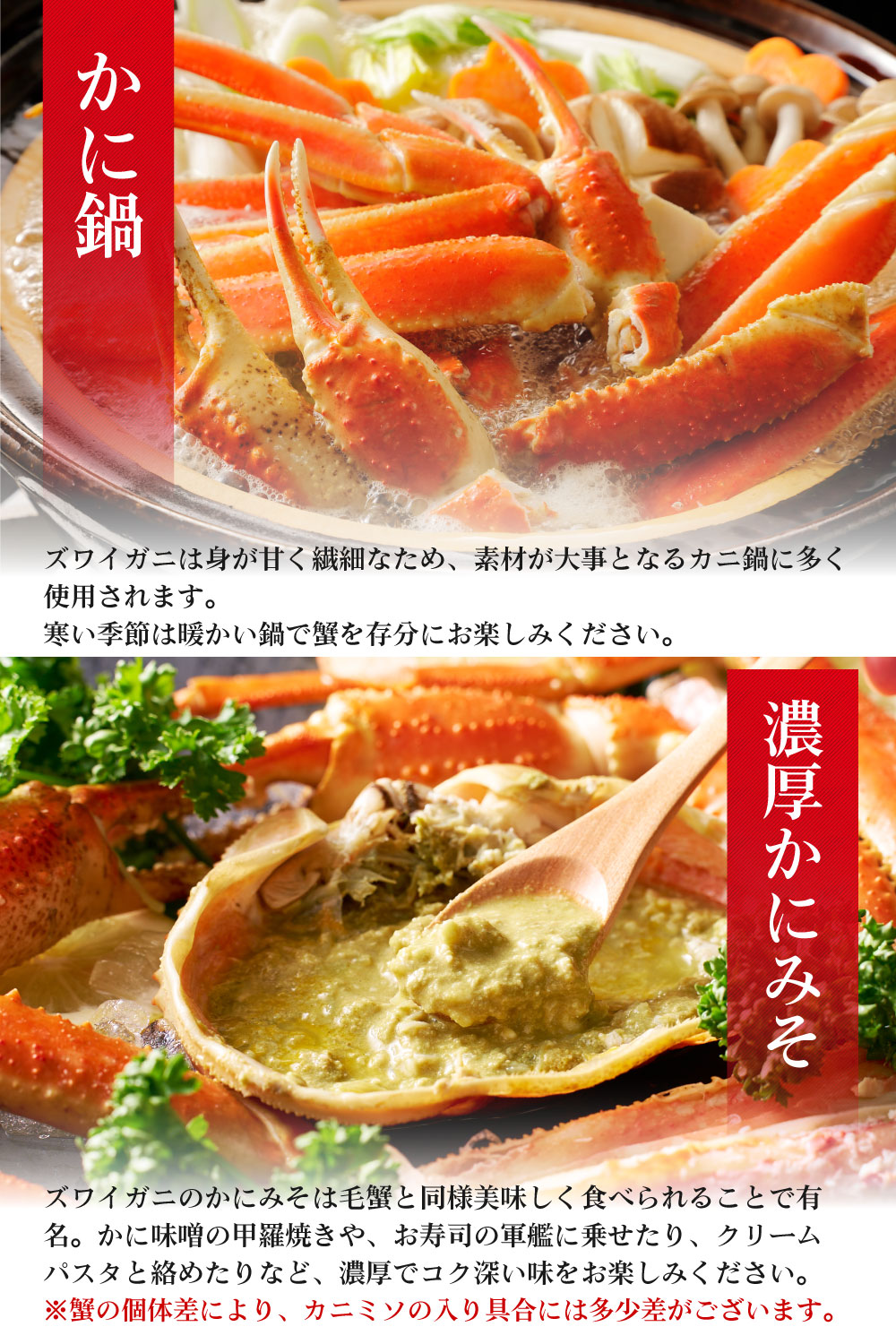 本ズワイガニ 姿 650g 1尾 特大 ズワイ蟹 ずわいがに ずわい蟹 カニ かに 海鮮 ギフト 札幌中央卸売市場 グルメ お取り寄せ お年賀 御年賀 バレンタイン【送料込】【冷凍便】