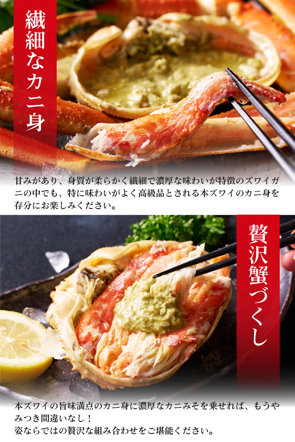 本ズワイガニ 姿 650g 2尾セット 特大 ズワイ蟹 ずわいがに ずわい蟹 カニ かに 海鮮 ギフト 札幌中央卸売市場 グルメ お取り寄せ お年賀 御年賀 バレンタイン【送料込】【冷凍便】