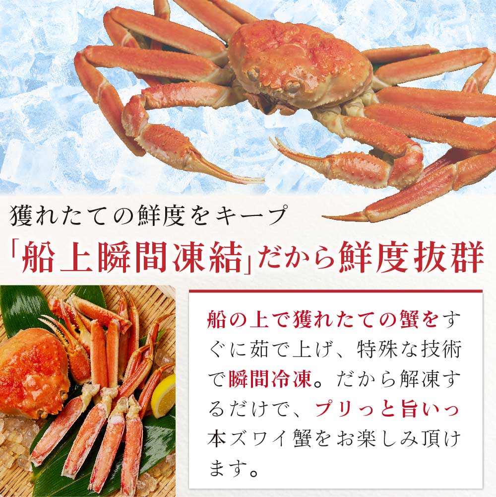 本ズワイガニ 姿 650g 3尾セット 特大 ズワイ蟹 ずわいがに ずわい蟹 カニ かに 海鮮 ギフト 札幌中央卸売市場 グルメ お取り寄せ お年賀 御年賀 バレンタイン【送料込】【冷凍便】