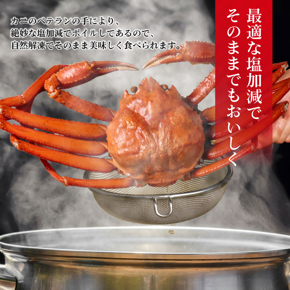 本ズワイガニ 姿 650g 3尾セット 特大 ズワイ蟹 ずわいがに ずわい蟹 カニ かに 海鮮 ギフト 札幌中央卸売市場 グルメ お取り寄せ お年賀 御年賀 バレンタイン【送料込】【冷凍便】