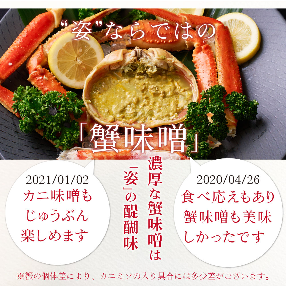 本ズワイガニ 姿 650g 3尾セット 特大 ズワイ蟹 ずわいがに ずわい蟹 カニ かに 海鮮 ギフト 札幌中央卸売市場 グルメ お取り寄せ お年賀 御年賀 バレンタイン【送料込】【冷凍便】