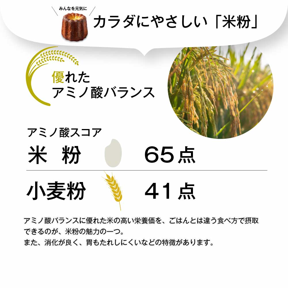【母の日限定パッケージ】 カヌレ 北海道 米粉のカヌレ 8個セット メッセージカード  無添加 【送料込】【冷凍便】