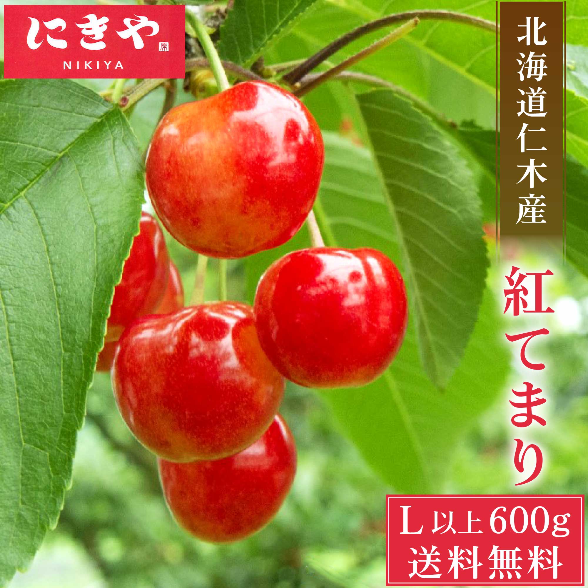 にきや さくらんぼ 北海道 仁木産 紅てまり 1kg 規格Lサイズ以上