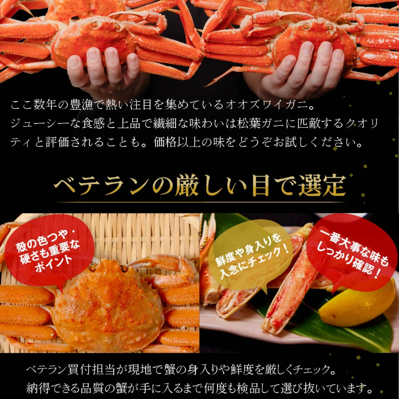  オオズワイガニ（3kg×2ケース）北海道 姿 おおずわいがに ずわい蟹 カニ かに 海鮮 ギフト 札幌中央卸売市
