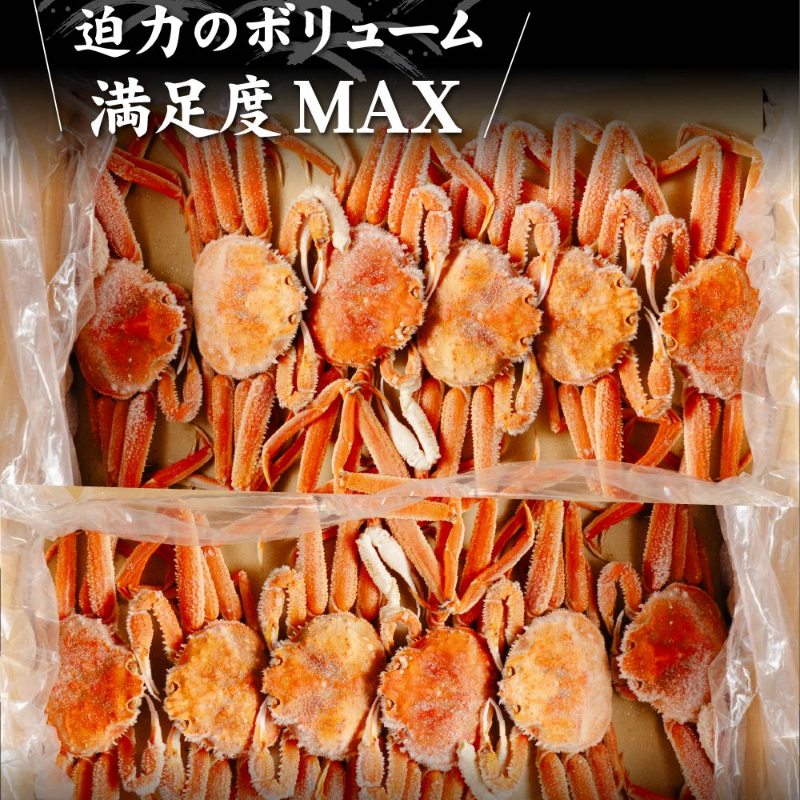  オオズワイガニ（3kg×2ケース）北海道 姿 おおずわいがに ずわい蟹 カニ かに 海鮮 ギフト 札幌中央卸売市