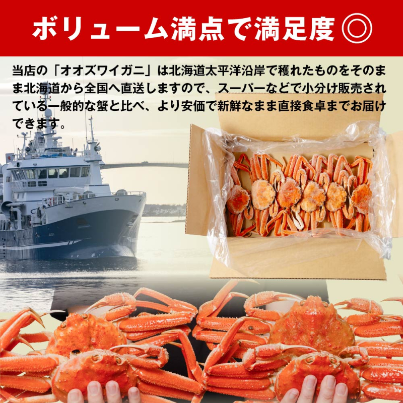  オオズワイガニ（3kg×2ケース）北海道 姿 おおずわいがに ずわい蟹 カニ かに 海鮮 ギフト 札幌中央卸売市