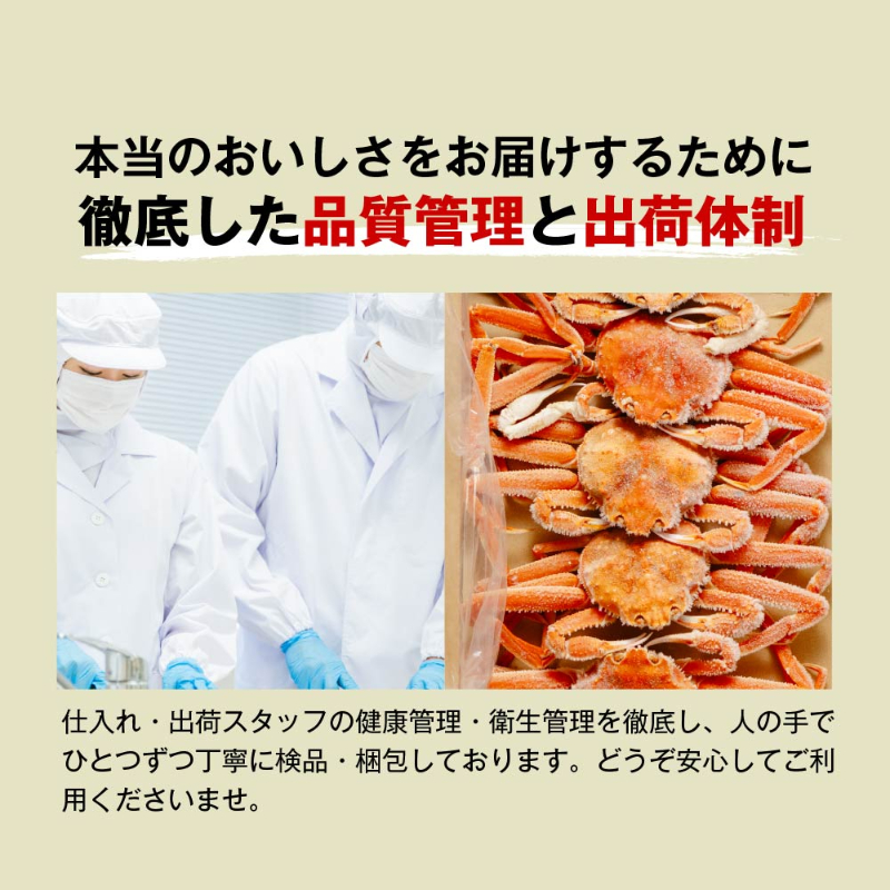  オオズワイガニ（3kg×2ケース）北海道 姿 おおずわいがに ずわい蟹 カニ かに 海鮮 ギフト 札幌中央卸売市