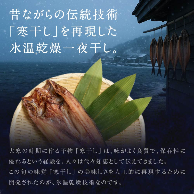 酒のための海のつまみ 氷温乾燥一夜干し-各1袋（6種）【冷凍】