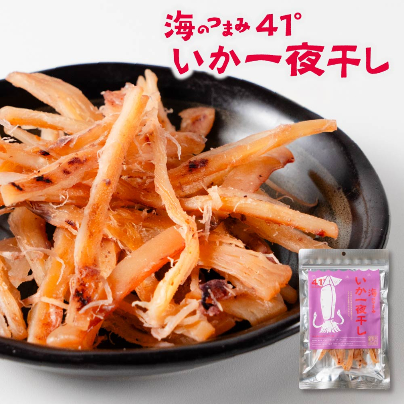 海鮮珍味 単品 海のつまみ41° 函館 いか一夜干し メール便 送料無料 