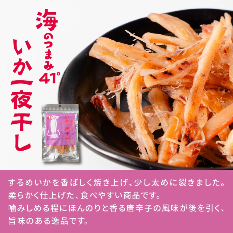 海鮮珍味 単品 海のつまみ41° 函館 いか一夜干し メール便 送料無料 