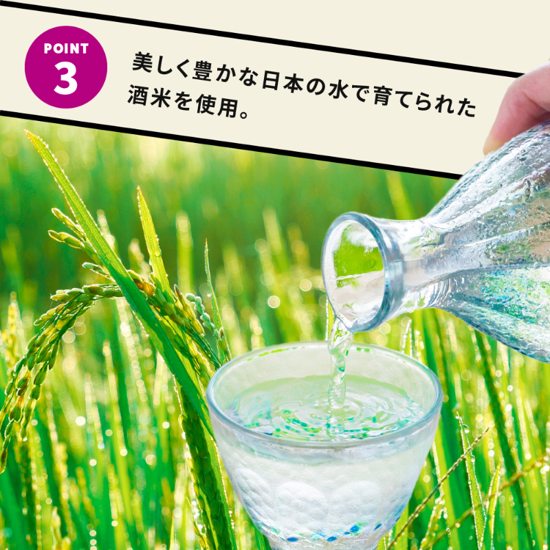 NEO NIPPON SAKEUP-芸人-梅酒リキュール (180ml×1本) 梅酒 ギフト 日本酒 ギフト 酒 ワンカップ