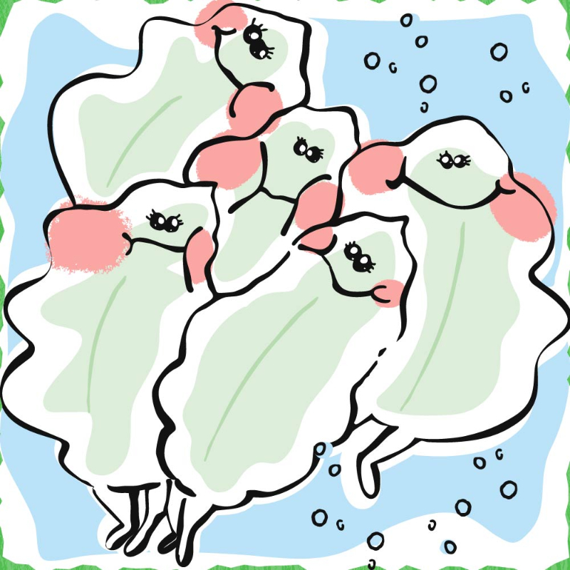 なまらムッチもち-がごめ昆布 7粒入り 【パケ】