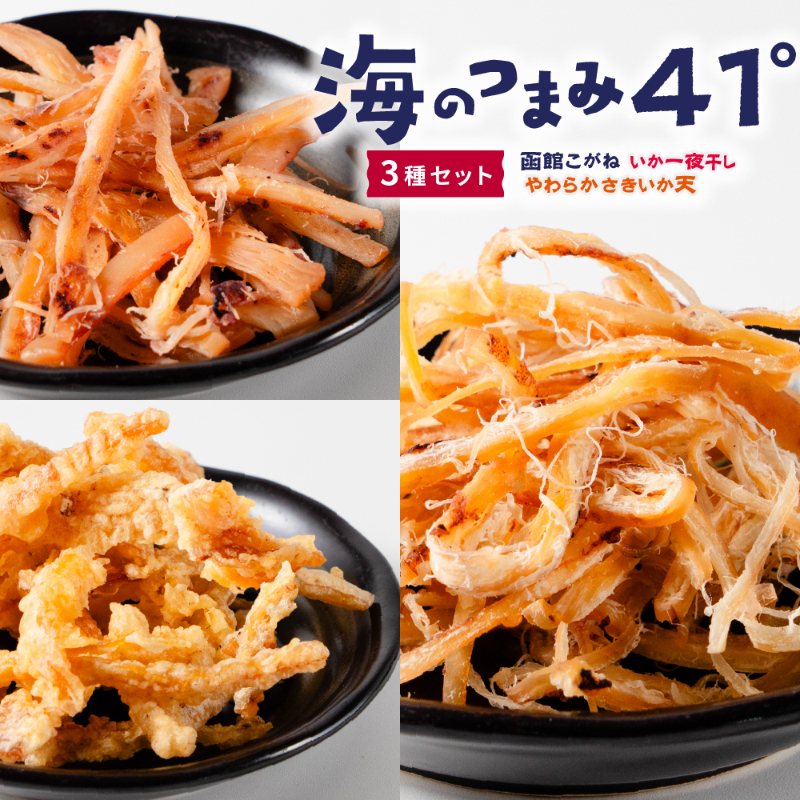 海のつまみ41°3種セット（函館こがね・いか一夜・いか天）メール便 送料無料 【パケ】