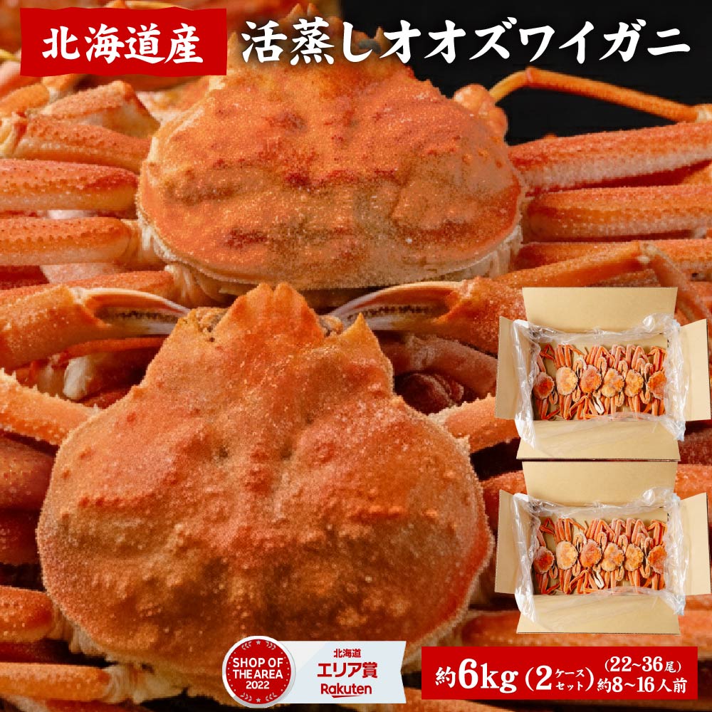 G*N様 オオロッカクコブシガニ展示中　定期オークション G*N様 オオロッカクコブシガニ展示中 定期オークション G*N様 オオ