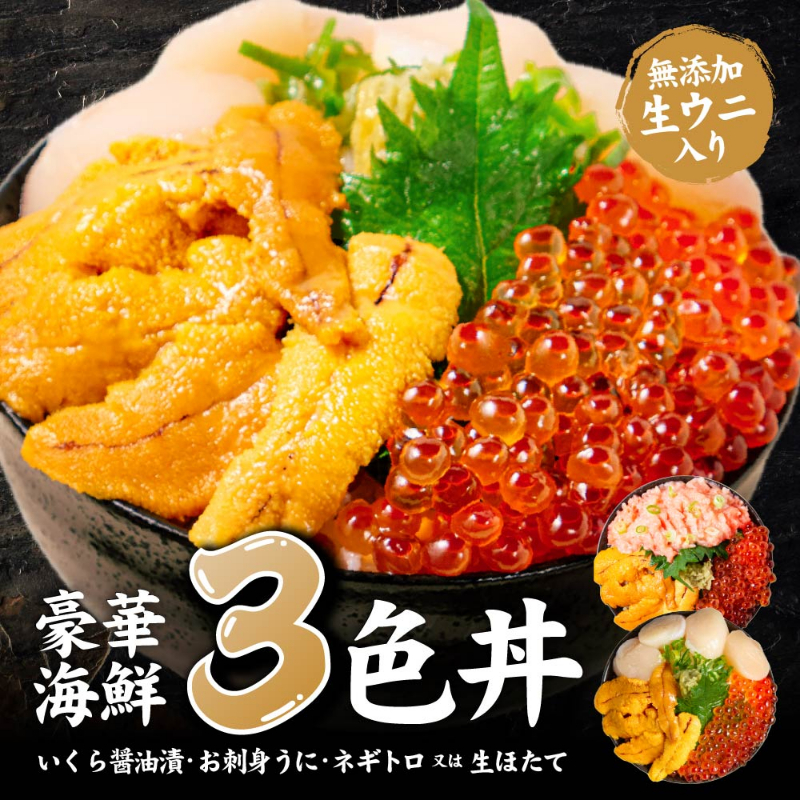 【ギフト】 北海道 海鮮丼 3色丼セット 豪華海鮮 【冷凍便】