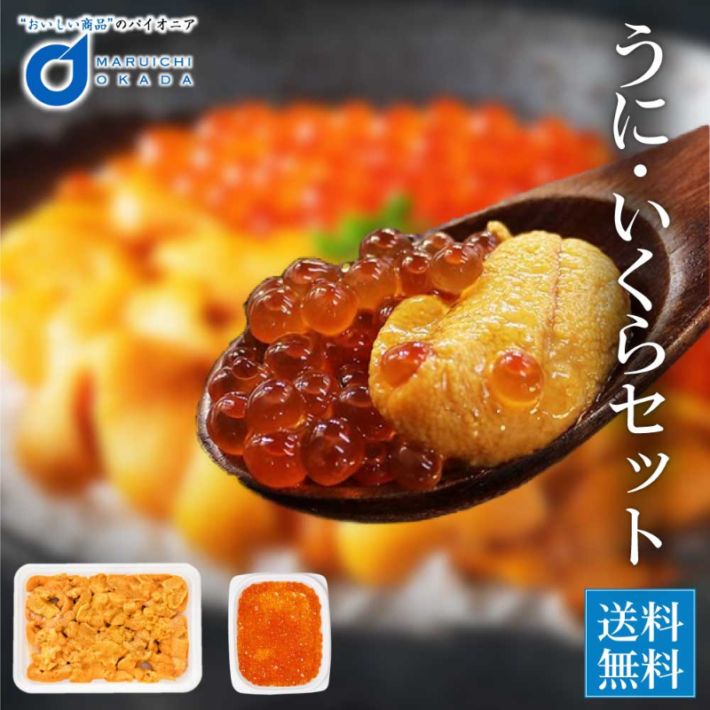 チリ産生うに 100g イクラ 60g セット 無添加 みょうばん不使用 生ウニ いくら 醤油漬け 海鮮丼 雲丹 冷凍 送料無料【送料込】【冷凍便】