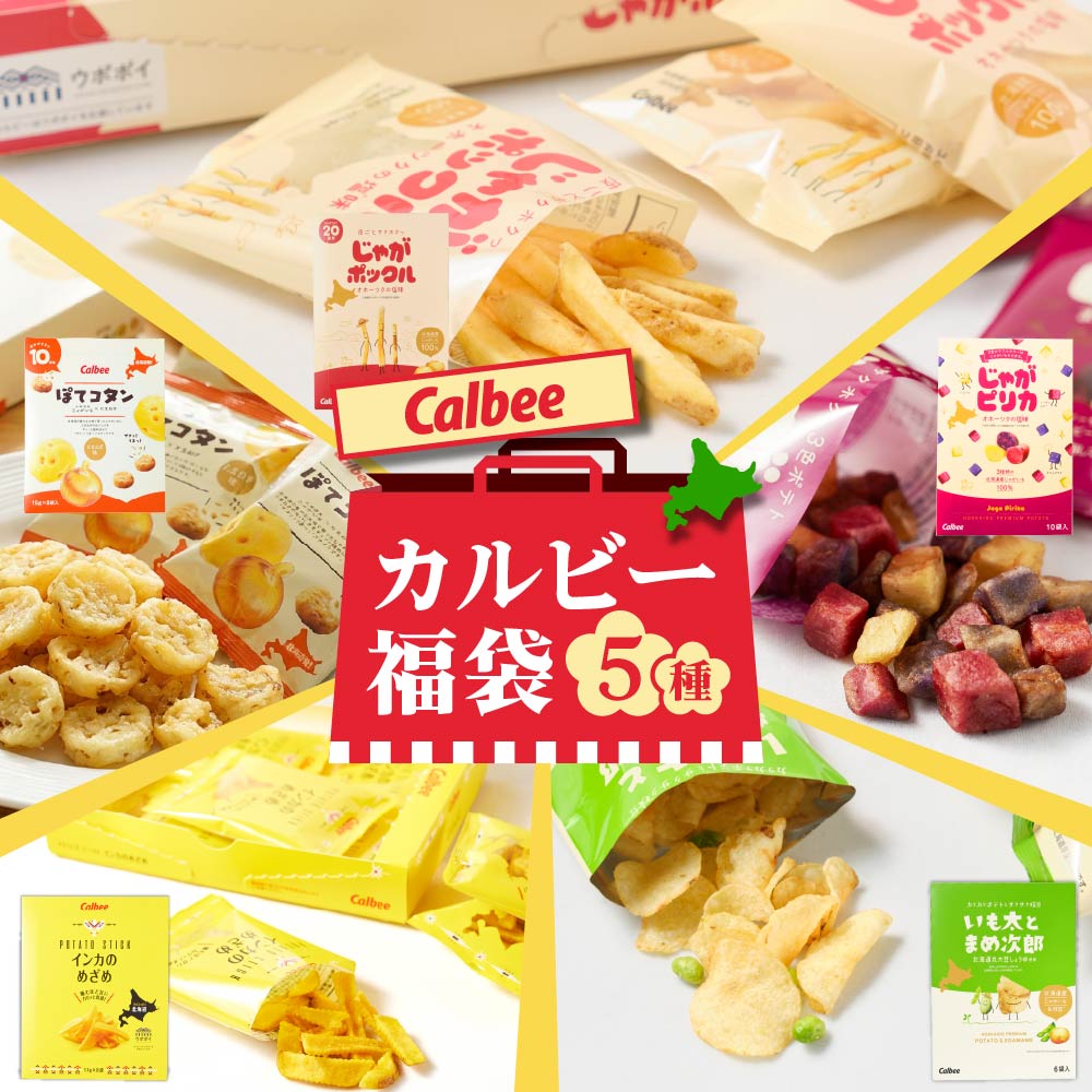 カルビー 5点セット（じゃがポックル10袋入・インカのめざめ8袋入・じゃがピリカ10袋入・ぽてコタン8袋入・いも太とまめ次郎6袋入 各1個） スナック Calbee お菓子 じゃがいも ポテト 馬鈴薯 たまねぎ オニオン 北海道限定 北海道土産 ギフト バ