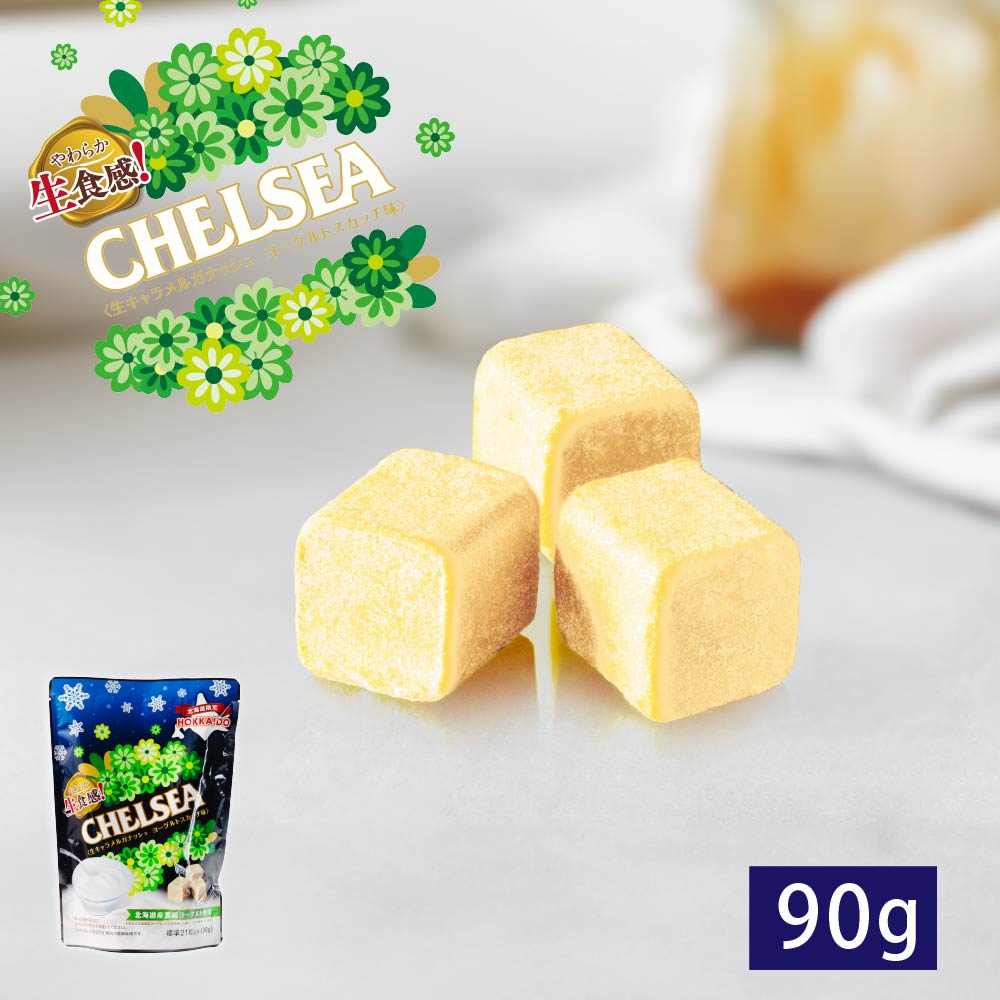 道南食品 生食感チェルシー ヨーグルトスカッチ味 標準21粒入 90g 送料無料 北海道産 ご当地 キャラメル 地域限定 大人気 定番 お土産 手土産 ギフト プレゼント 贈り物 バレンタイン