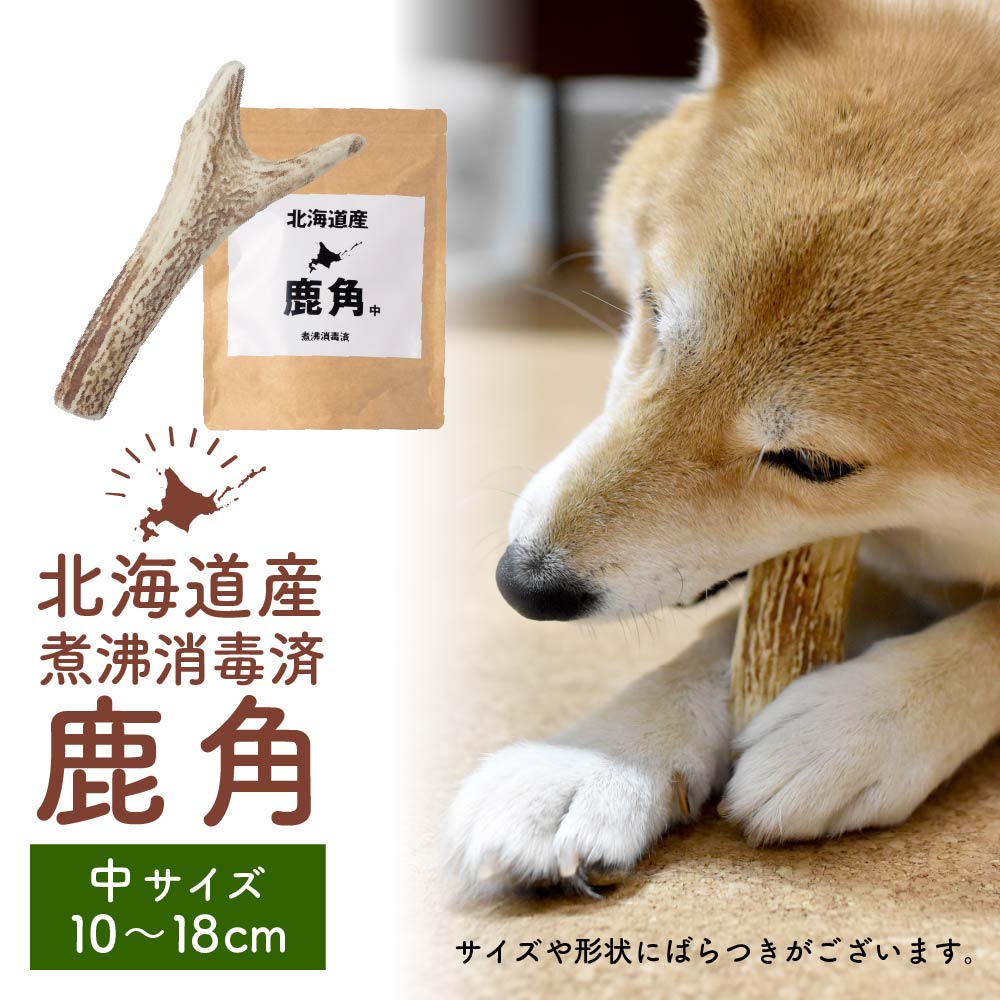 鹿角 犬 エゾシカ 北海道 中サイズ（小型犬～中型犬に）10～18cm 北海道産 天然 無添加 蝦夷鹿の角 デンタルケア おもちゃ バレンタイン ホワイトデー お返し
