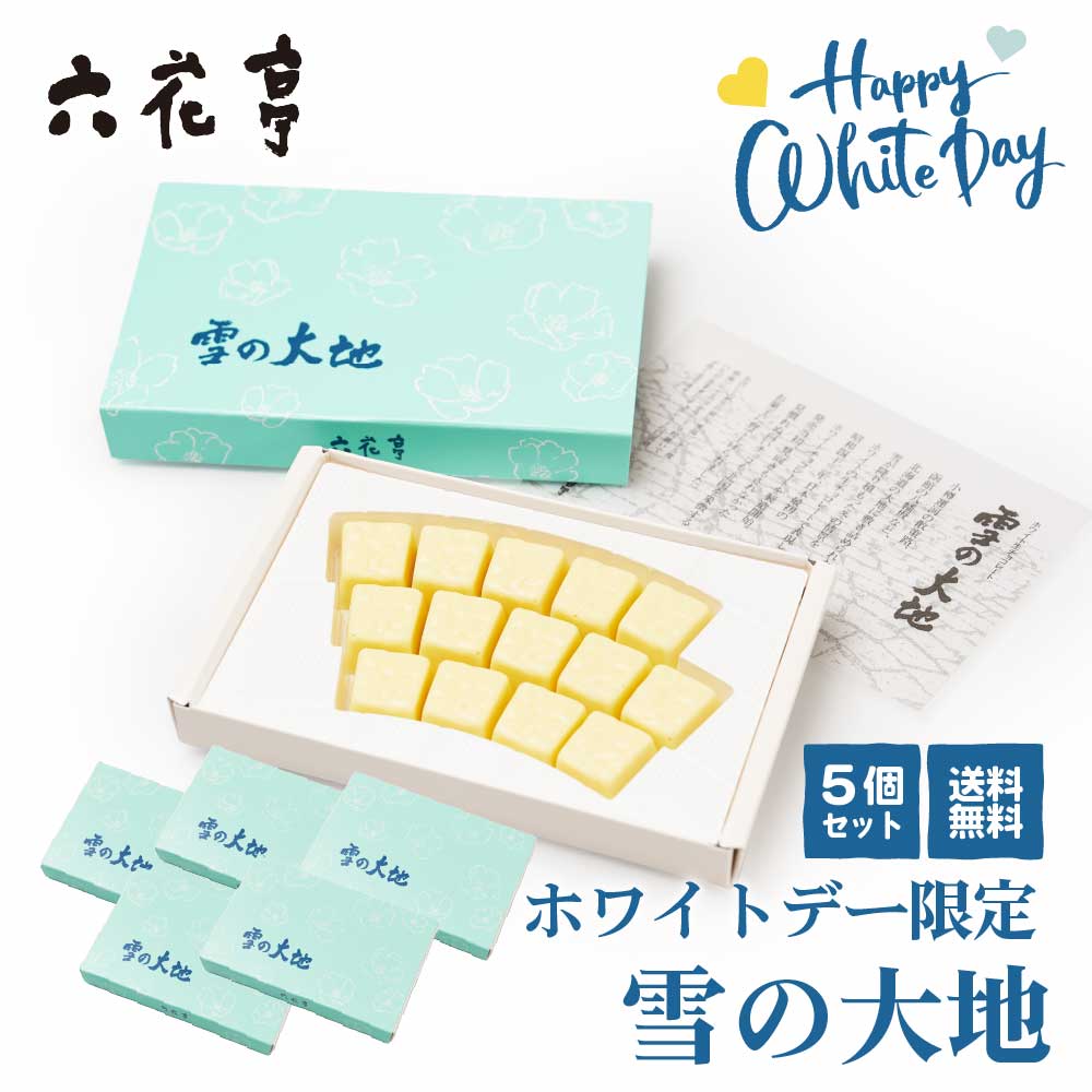六花亭 雪の大地 ゆきのだいち 14個入×5個セット ホワイトデー限定 生チョコ チョコレート ギフト プレゼント 義理 バレンタイン ホワイトデー お返し