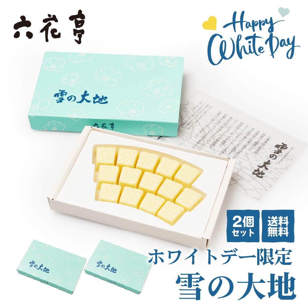 六花亭 雪の大地 ゆきのだいち 14個入×2個セット ホワイトデー限定 生チョコ チョコレート ギフト プレゼント 義理 プチギフト バレンタイン ホワイトデー お返し