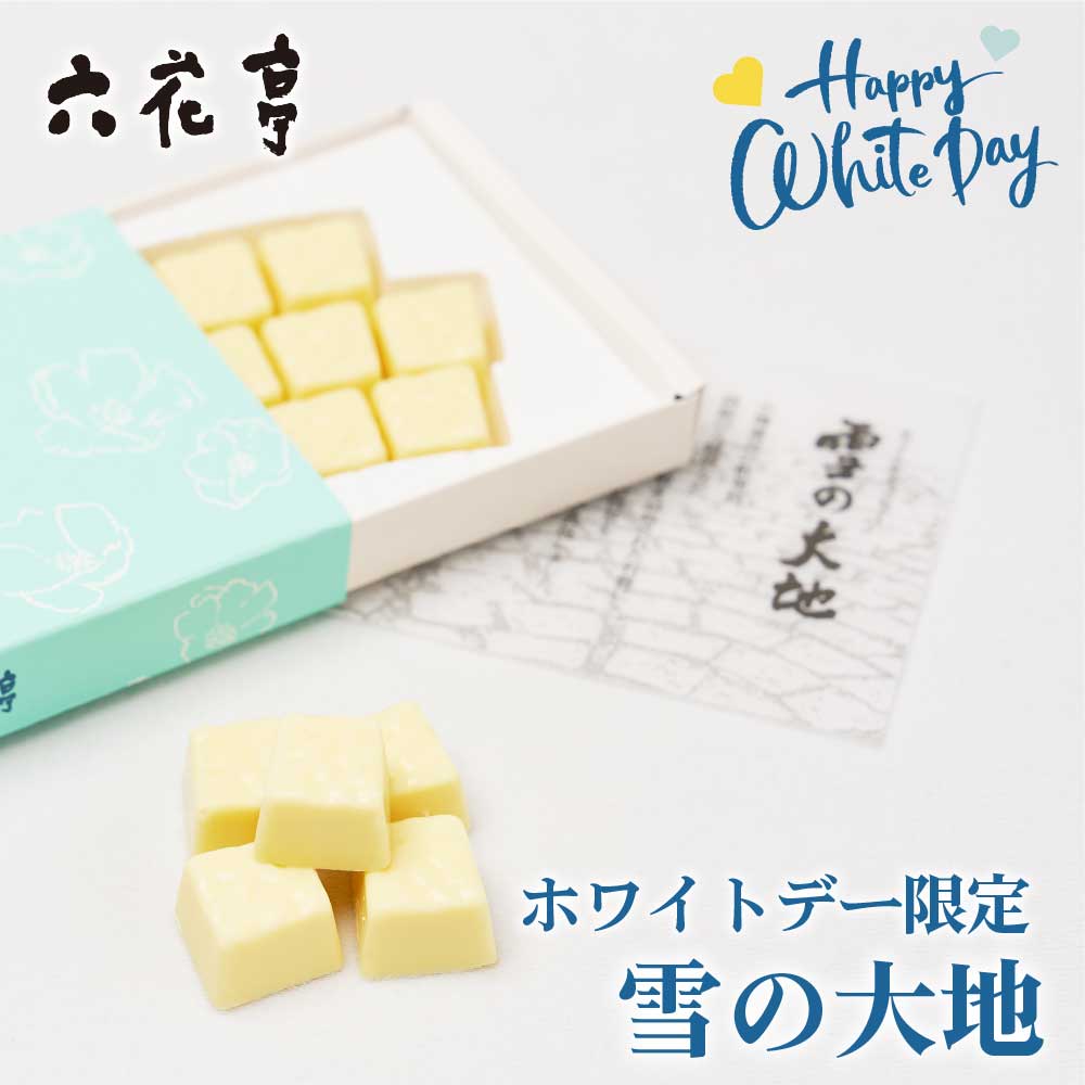 六花亭 雪の大地 ゆきのだいち 14個入 ホワイトデー限定 生チョコ チョコレート ギフト プレゼント 義理 プチギフト バレンタイン ホワイトデー お返し