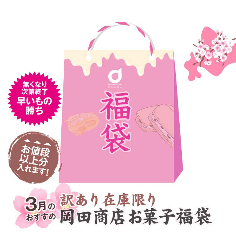 店長おまかせ 北海道 お菓子 福袋 2026 3月のおすすめ 詰め合わせ （同梱不可） 北海道 復興福袋 食品ロス 応援