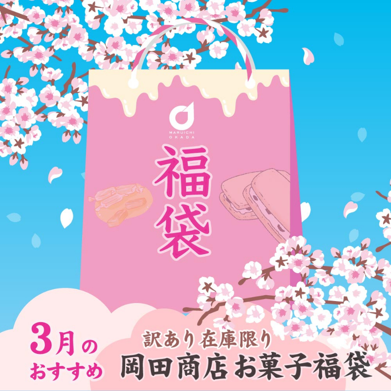 店長おまかせ 北海道 お菓子 福袋 2026 3月のおすすめ 詰め合わせ （同梱不可） 北海道 復興福袋 食品ロス 応援