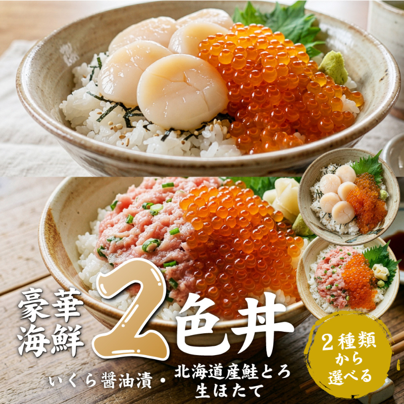 いくら ほたて 鮭とろ 北海道 海鮮 二色丼 海鮮丼セット 2色丼 海鮮 ギフト 刺身 冷凍 鮭トロ 海鮮 イクラ 【冷凍】