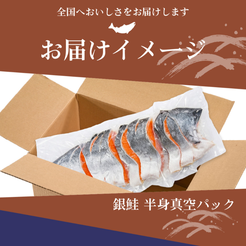 鮭 切り身 塩分ひかえめ 北海道 低塩 銀鮭 2袋（約700g）身＆尾付 市場 直送 鮭 銀鮭 半身 真空パック 【冷凍】