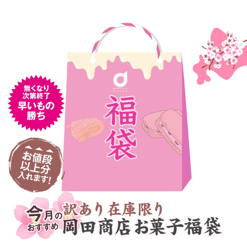 店長おまかせ 北海道 お菓子 福袋 2026 今月のおすすめ 詰め合わせ （同梱不可） 北海道 復興福袋 食品ロス 応援