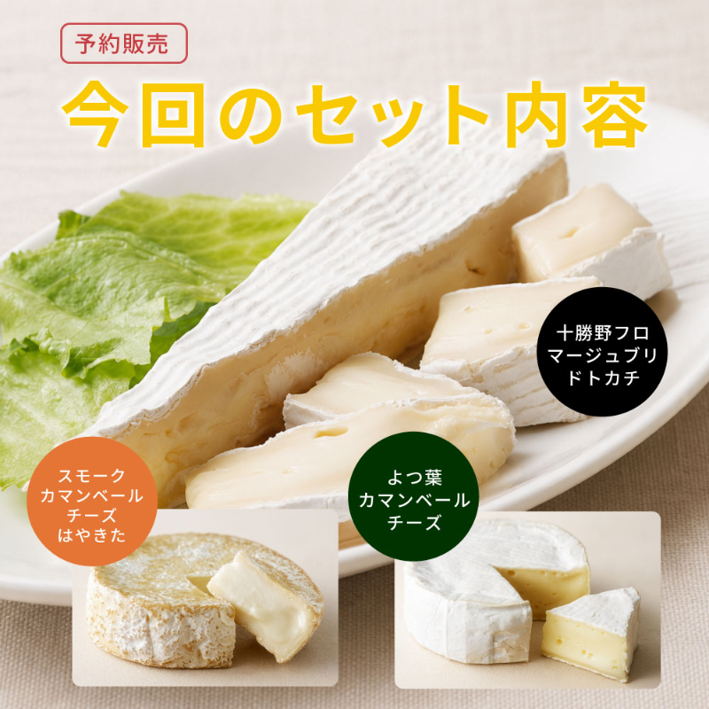 今月だけの北海道チーズBOX 3種セット 十勝野フロマージュ ブリドトカチ スモークカマンベール よつ葉カマンベール 【冷蔵】