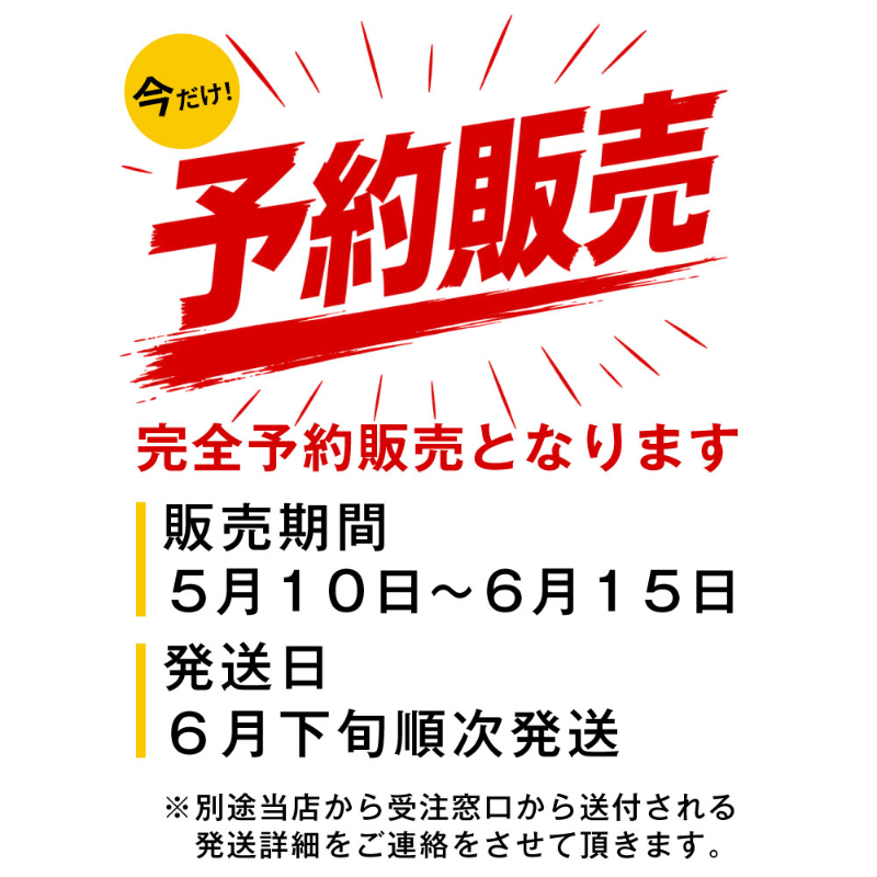 今月だけの北海道チーズBOX 3種セット 十勝野フロマージュ ブリドトカチ スモークカマンベール よつ葉カマンベール 【冷蔵】