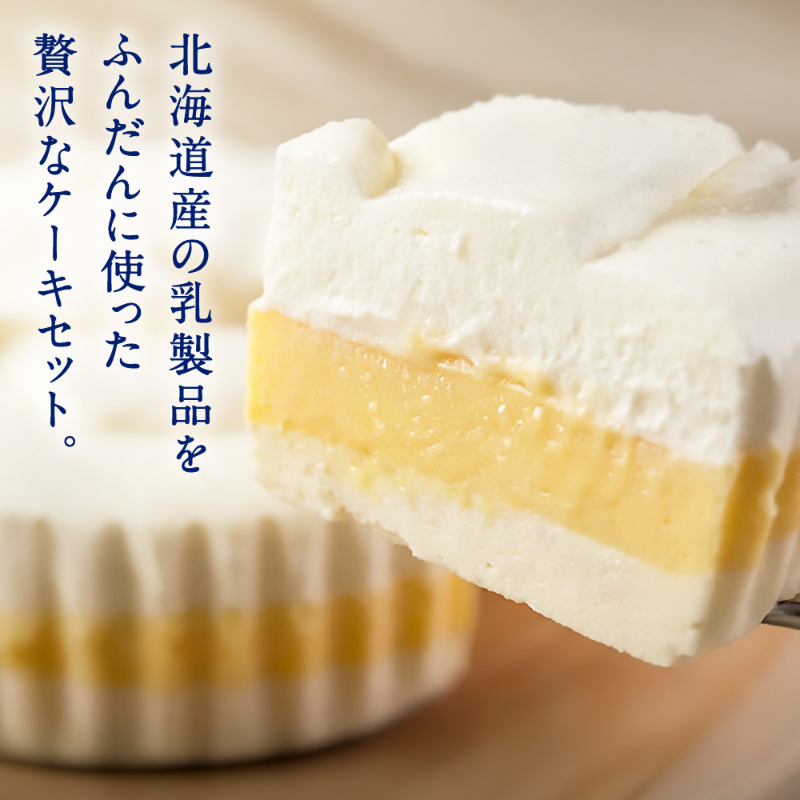北海道 チーズケーキ 2種セット かご盛レアチーズ フロマージュオーケストラ 冷凍 スイーツ 送料無