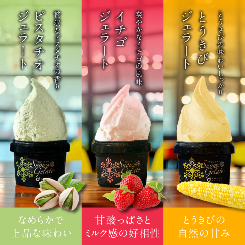 丸市岡田商店 北海道のアイス 雪ジェラート 【6種8個セット】 【冷凍便】