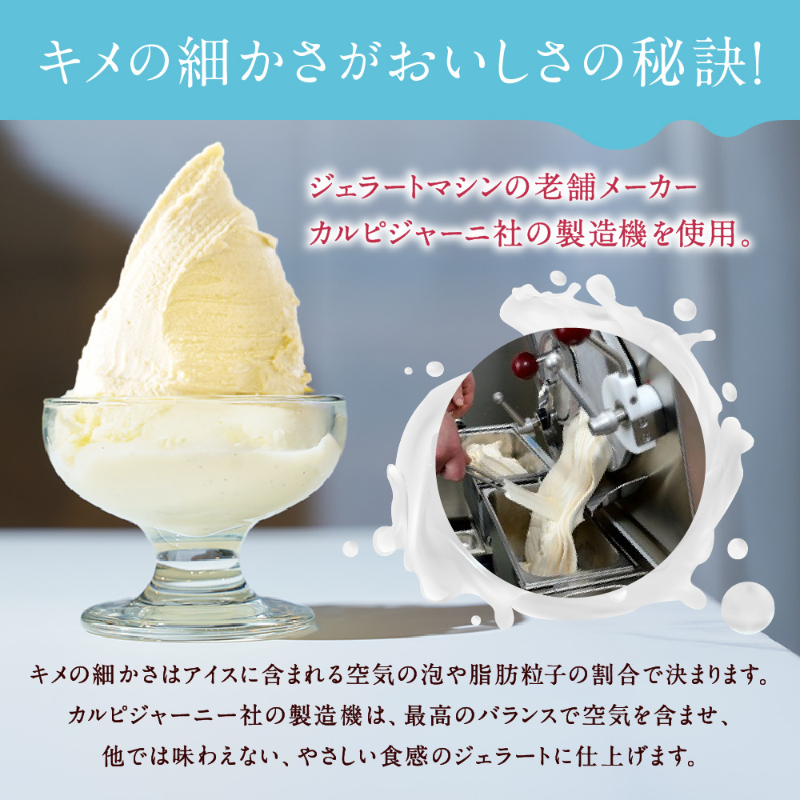 丸市岡田商店 北海道のアイス 雪ジェラート 【6種8個セット】 【冷凍便】