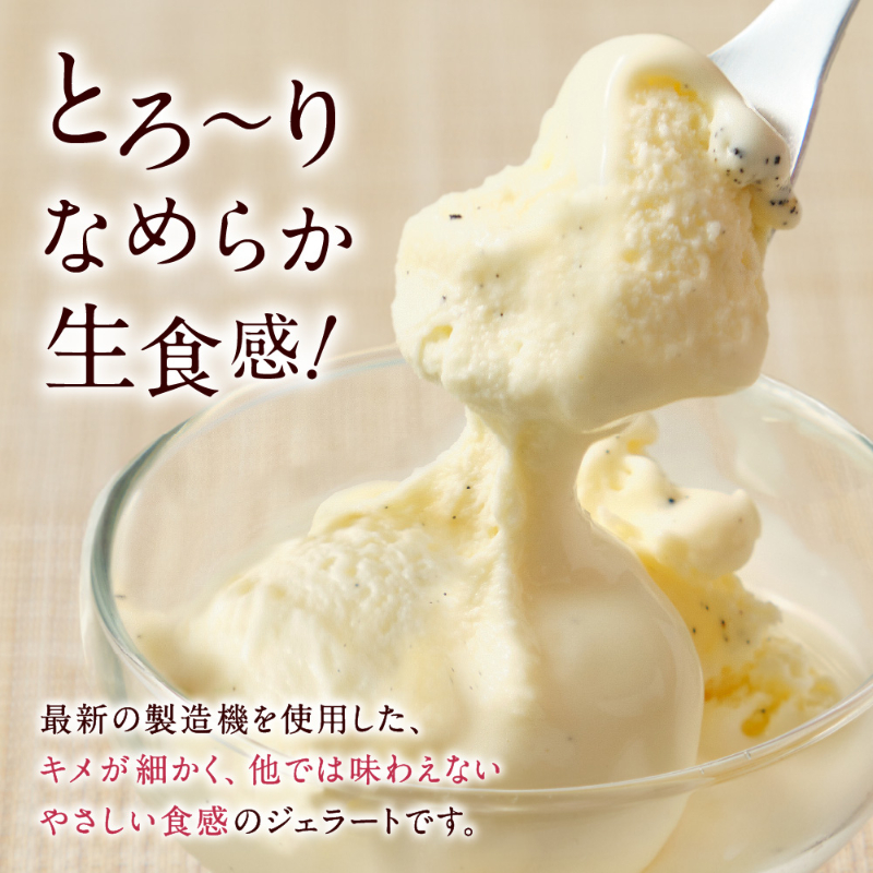 丸市岡田商店 北海道のアイス 雪ジェラート 【6種12個セット】【冷凍便】