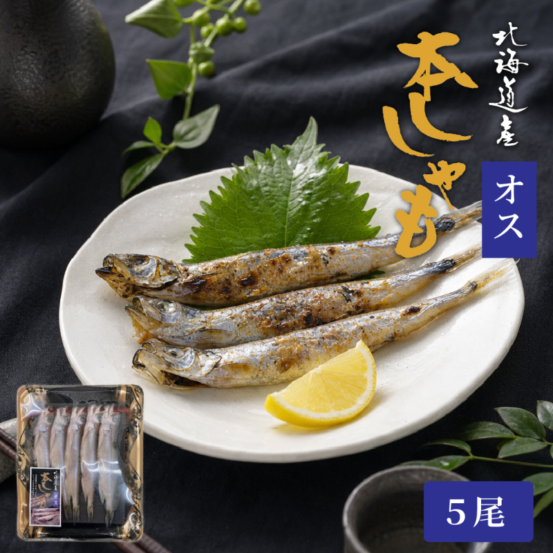 北海道産ししゃもオス5尾 本ししゃも 柳葉魚 北海道産 ししゃも 干物 海鮮 魚介 おつまみ 酒の肴 ご飯のお供 【冷凍】