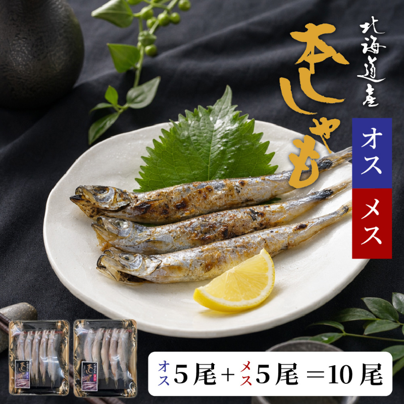 北海道産ししゃも オス5尾 メス5尾 合計10尾セット 本ししゃも 柳葉魚 干物 海鮮 魚介 おつまみ 酒の肴 【冷凍】