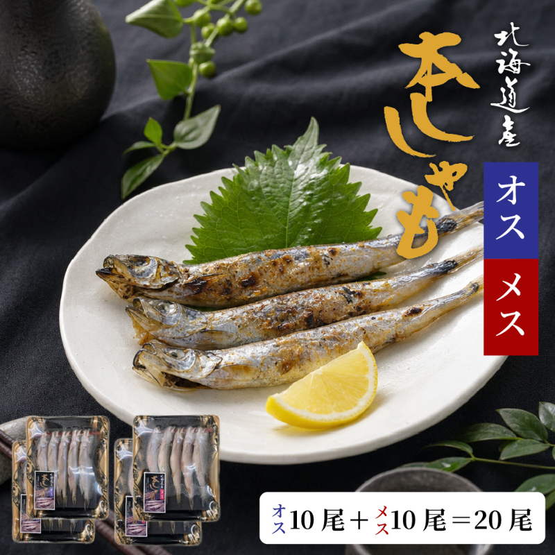 北海道産ししゃも オス10尾 メス10尾 合計20尾セット 本ししゃも 柳葉魚 干物 海鮮 魚介 おつまみ 酒の肴 【冷凍】