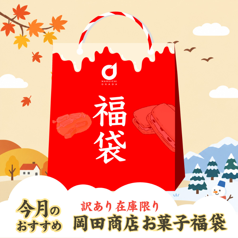 店長おまかせ 北海道 お菓子 福袋 2027 今月のおすすめ 詰め合わせ （同梱不可） 北海道 復興福袋 食品ロス 応援