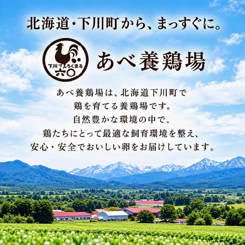 あべ養鶏場 下川六〇燻製卵 20個入 燻製卵 くんたま 卵 お歳暮 御歳暮 冬ギフト クリスマス お年賀 ギフト 【冷蔵】