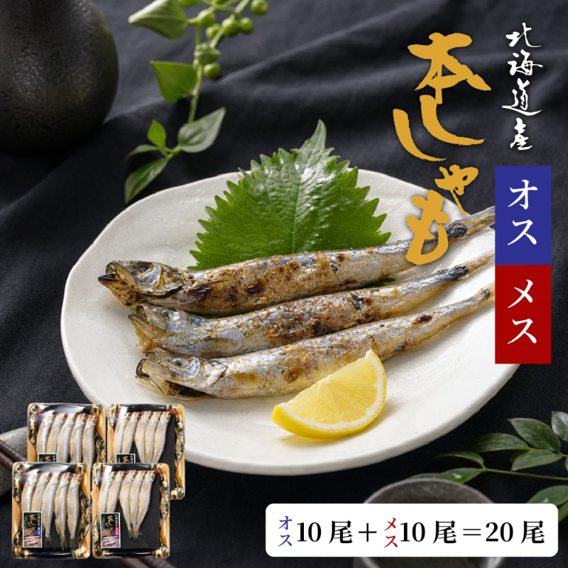 北海道産ししゃも オス10尾 メス10尾 合計20尾セット 本ししゃも 柳葉魚 干物 海鮮 魚介 おつまみ 酒の肴 【冷凍】
