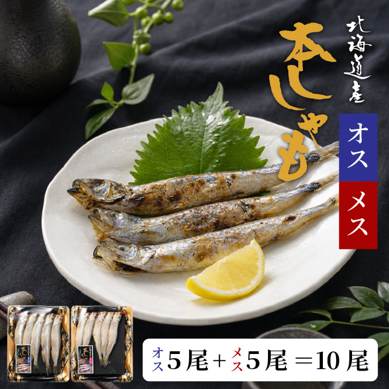 北海道産ししゃも オス5尾 メス5尾 合計10尾セット 本ししゃも 柳葉魚 干物 海鮮 魚介 おつまみ 酒の肴 【冷凍】