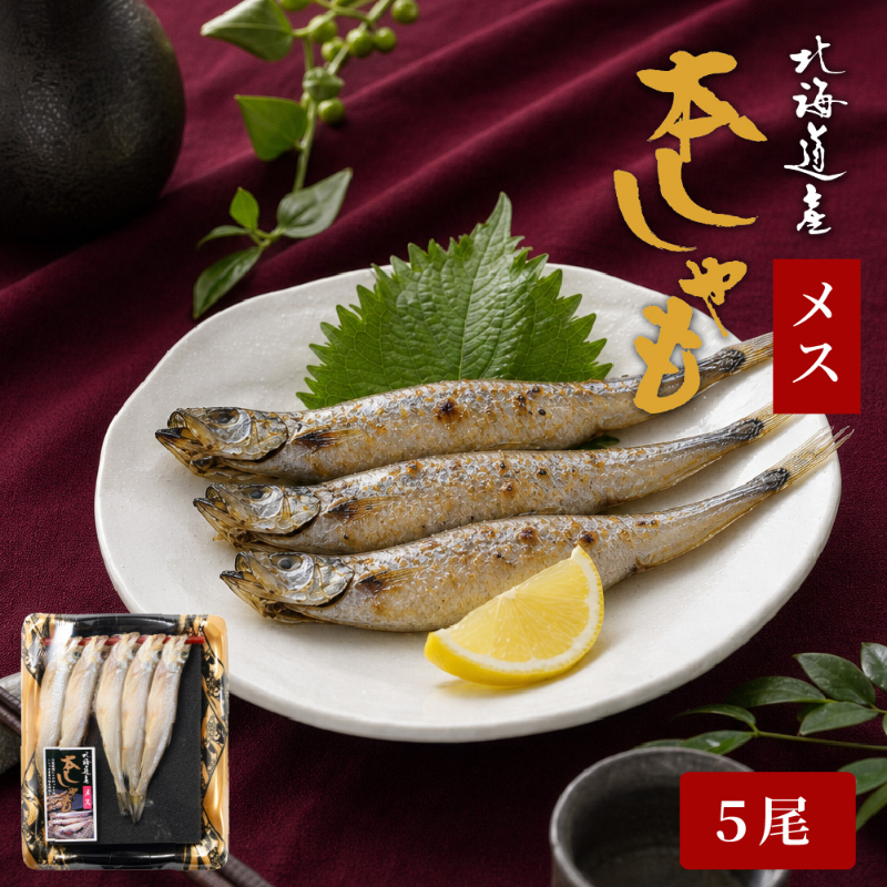 北海道産ししゃもメス5尾 本ししゃも 柳葉魚 北海道産 ししゃも 干物 海鮮 魚介 おつまみ 酒の肴 ご飯のお供 【冷凍】