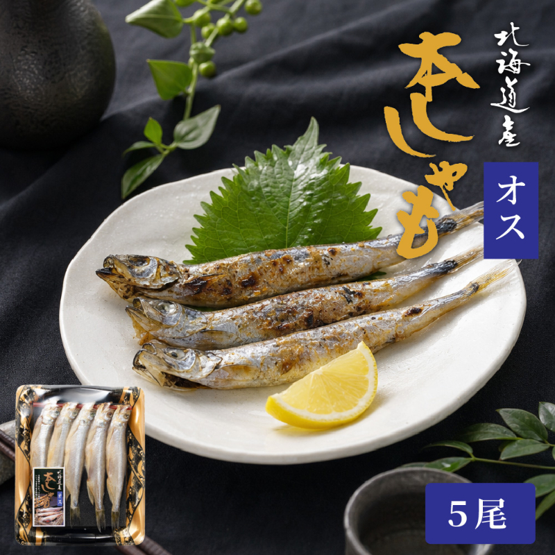 北海道産ししゃもオス5尾 本ししゃも 柳葉魚 北海道産 ししゃも 干物 海鮮 魚介 おつまみ 酒の肴 ご飯のお供 【冷凍】